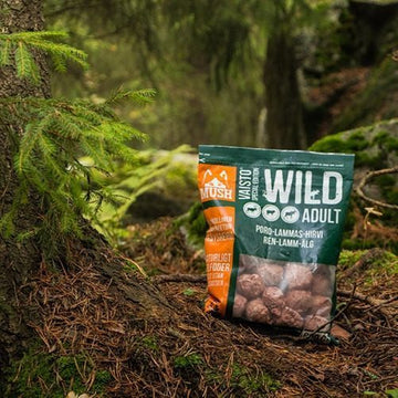 Mush Vaisto Wild // Mildes Barfen für Hunde mit empfindlichem Magen (Frost)