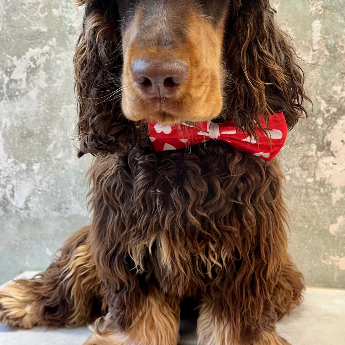 Nana // Hund Schmetterling mit Herzen (rot)