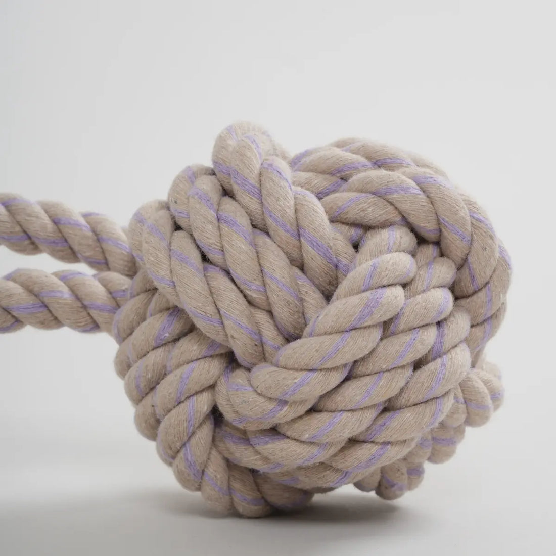 Nordog Rope Taupe und Lila // Natürliche Seilbleiche (Beige/Lila)