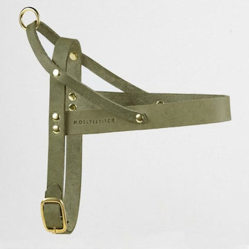 Butter Olive // Klassisches Geschirr aus weichem Leder (olivgrün)
