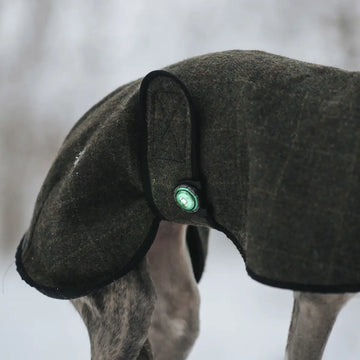 Orbiloc Zubehör// Clip für Hundetaschenlampe