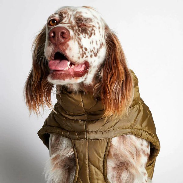 Al Puffer // Wasserabweisende Hundedecke (Khakigrün) Größe 27,5