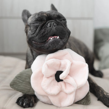 Lambwolf Poppy // Hundespielzeug mit „Quietsch“ und Platz für Leckerlis