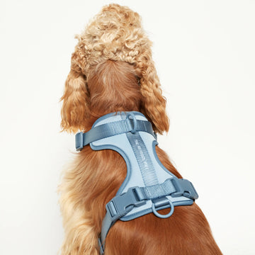 Rose W. Harness // Robustes und verstellbares Hundegeschirr (blau)