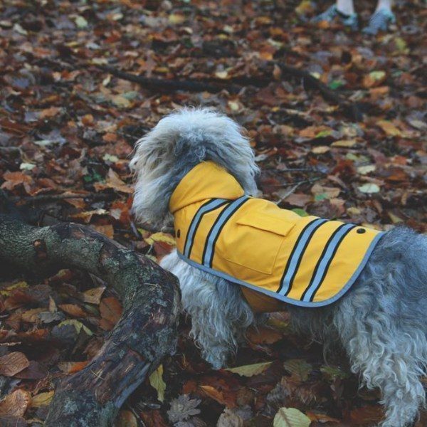 Sötnos Sunshine Raincoat // Regenjacke, die nicht über dem Kopf getragen werden muss XS