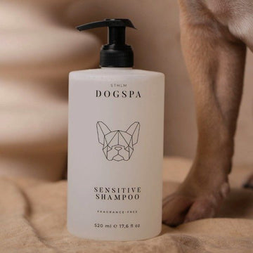STHLM Dogspa // Feuchtigkeitsspendendes Hundeshampoo ohne Parabene