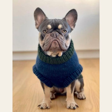 WEAR FIFI // Strickanleitung für Hundepullover für Französische Bulldogge