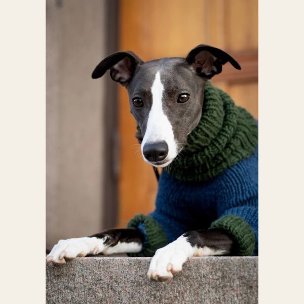 WEAR FIFI // Strickanleitung für Hundepullover für Windhunde