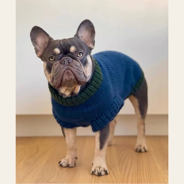 WEAR FIFI // Strickanleitung für Hundepullover für Französische Bulldogge