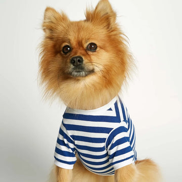 David T-Shirt // Hundeshirt mit Ärmeln aus Bio-Baumwolle (blau)