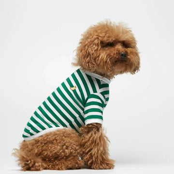 David T-Shirt // Hundeshirt mit Ärmeln aus Bio-Baumwolle (grün)