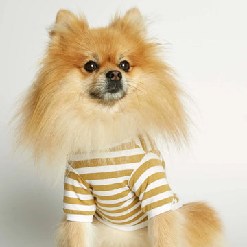David T-Shirt // Hundeshirt mit Ärmeln aus Bio-Baumwolle (Dijon)