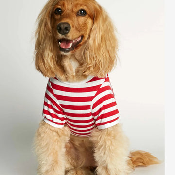 David T-Shirt // Hundeshirt mit Ärmeln aus Bio-Baumwolle (rot)