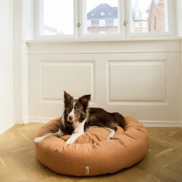 Bestellartikel: Tadazhi Donut Bed // Waschbares Donut-Hundebett (Hellbraun)