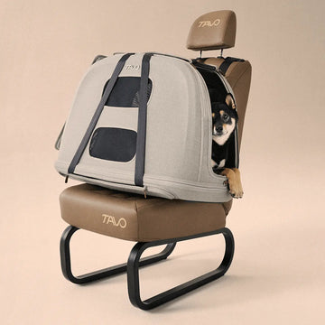 Tavo Crispin, Merle // Crashgetesteter Transportkäfig mit ISOFIX fürs Auto (L)