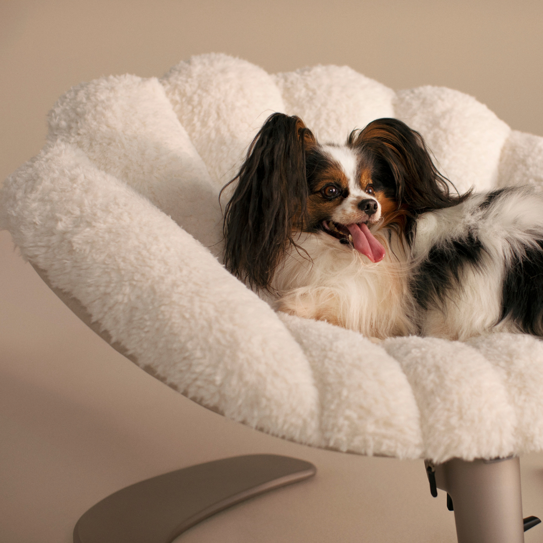 Tavo Shell™ // Schaukel-Lounge-Hundebett (Latte)