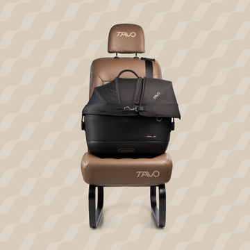 Tavo Dupree // Crashgetestete Hundetasche für Flugzeuge und Autos mit ISOFIX (Onyx)