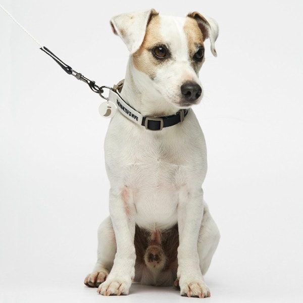 Sonia Navy // Klassische Linie aus wasserabweisendem Nylon