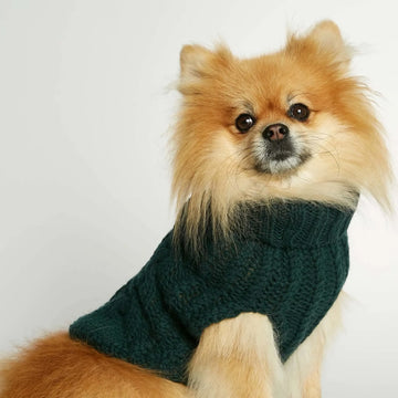 John B. Sweater // Hundepullover aus Merinowolle und Kaschmir (dunkelgrün) Groß
