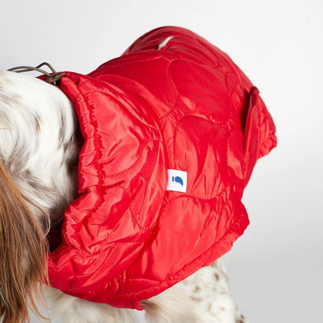Al Puffer // Wasserabweisende Hundedecke (rot)
