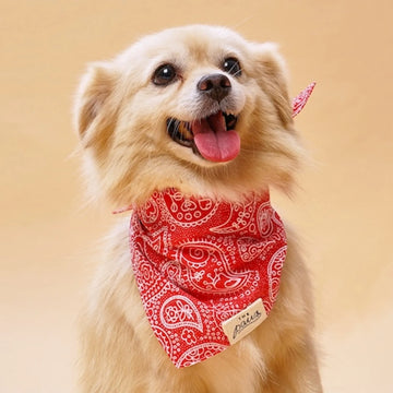 Paisley Rodeo // Hundehalstuch im Paisleymuster (rot)