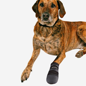 Hundeschuhe // Hundeschuhe zum Pfotenschutz und bei Verletzungen (2 Stück)