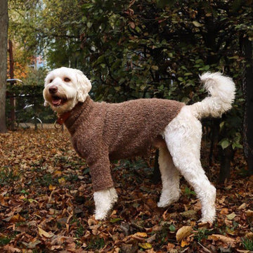 WEAR FIFI Teddy Sweater // Handgestrickter Woll-Bouclé-Pullover (braun)