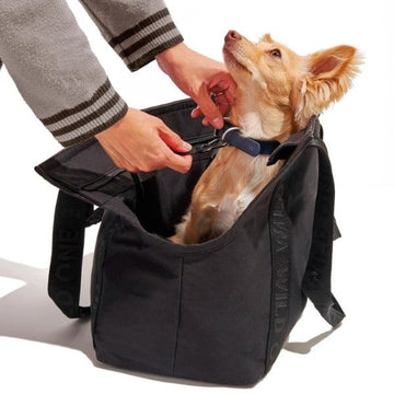 Wild One Everyday // Hundetasche für Hunde bis 9 kg (schwarz)