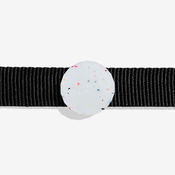 Zee.dog Jelly // Airtag-Halter für Halsband und Geschirr