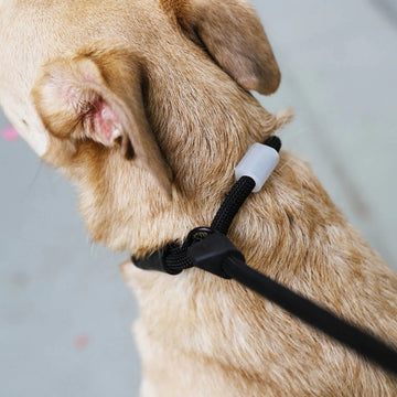 Zee.dog Schlupfleine // Retrieverleine mit Stopper (schwarz)