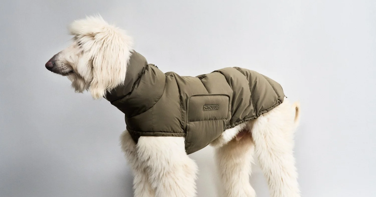 Størrelsesguide: Cloud7 jakker til whippet og greyhound