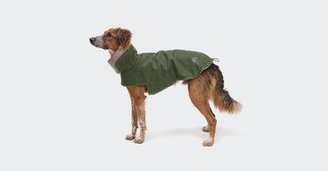 Størrelsesguide: Cloud7 jakker til hunde af standardproportioner