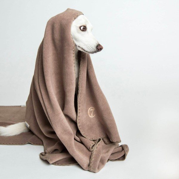 Cloud7 Decke // Fleece-Hundedecke (beige)