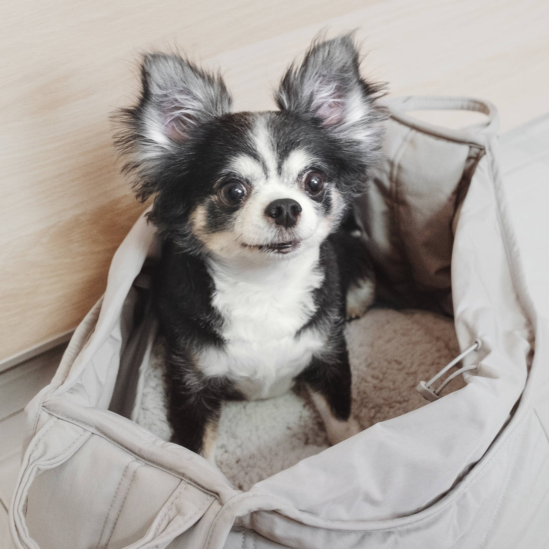 Lambwolf Olla // Tragetasche für kleine Hunde bis 5 kg. (Koala)