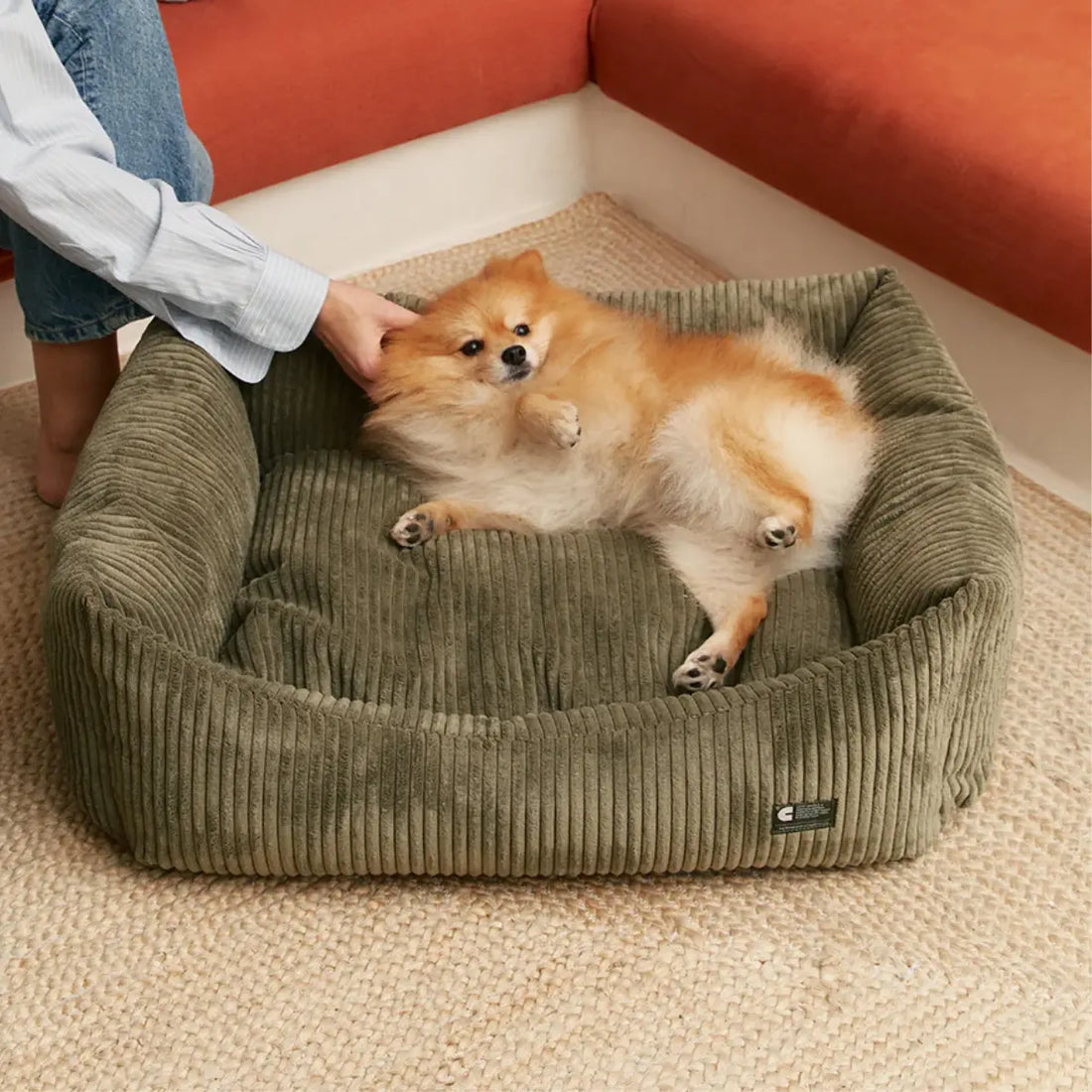 Cafide Snozy // Weiches und waschbares Hundebett aus Samt (grün) 
