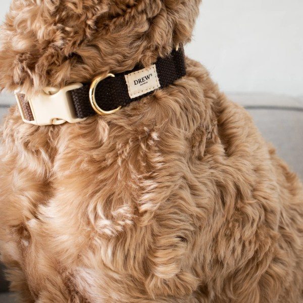 Drew's Dogwear Chocolate // Verstellbares Halsband (Dunkelbraun)