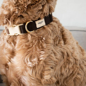 Drew's Dogwear Chocolate // Verstellbares Halsband (Dunkelbraun)