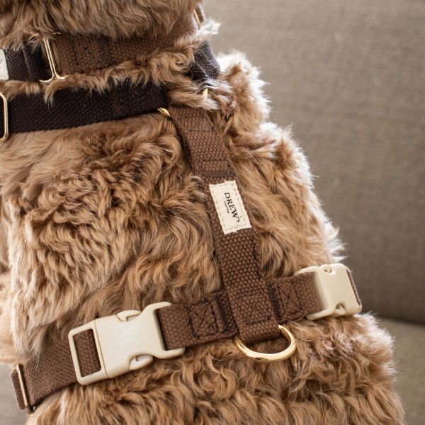 Drew's Dogwear Chocolate // Verstellbares Y-Geschirr (dunkelbraun)