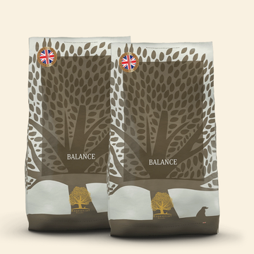 Essential Heritage, Balance // Single-protein skånefoder med kalkun (2 x 10kg)