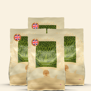 Essential Heritage, Eternal Living // Vegetarisches Schonfutter für Hunde mit empfindlichem Magen (4 x 2,5 kg)