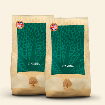 Essential Heritage, Stamina // Trockenfutter für besonders aktive Hunde (2 x 10 kg)