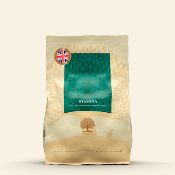 Essential Heritage, Stamina // Trockenfutter für besonders aktive Hunde