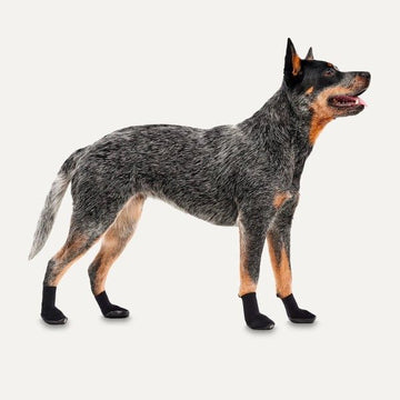 Goo-eez Hundeschuhe // Outdoor-Hundeschuhe für jedes Gelände (2 Stk.)