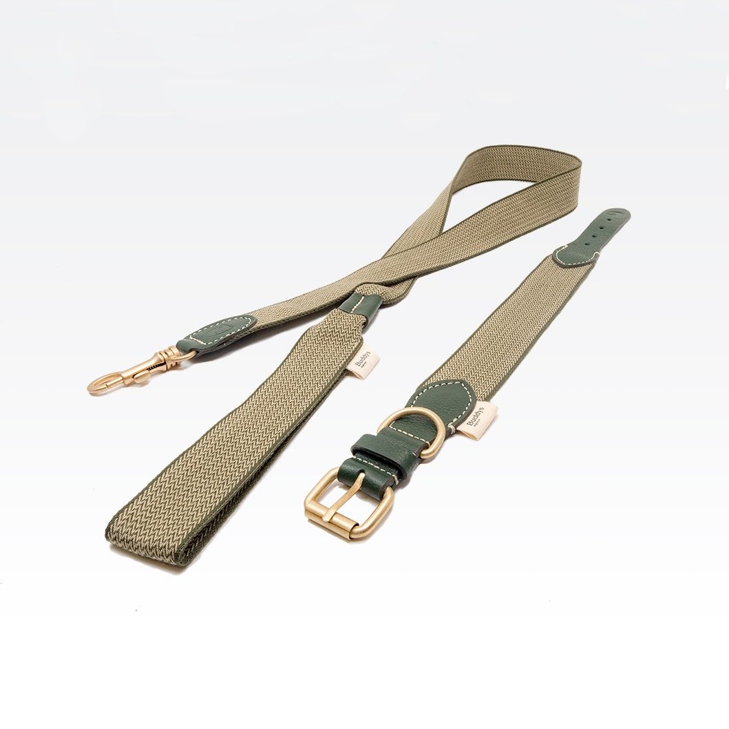 Buddys Dogwear James Green // Breite und leichte Leine (grün)