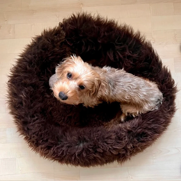 Helen Wells Sheep // Handgemachtes Donut-Hundebett aus 100 % Öko-Schafsfell (braun)