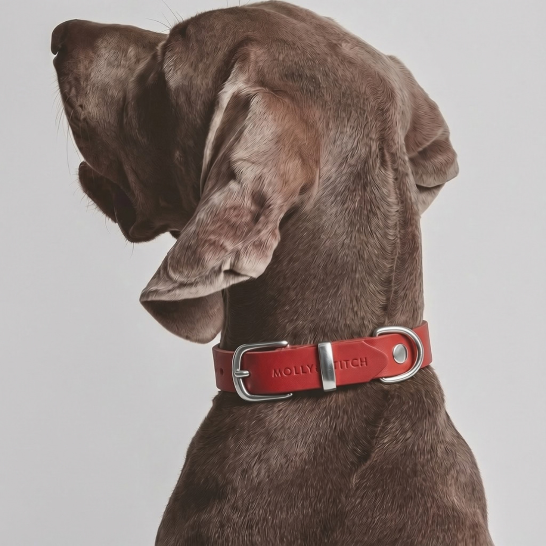 Butter Chili Red // Halsband aus weichem Leder (rot)