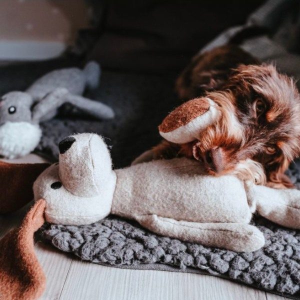 Hunter Marle // Hundespielzeug aus recyceltem Filz (Hund)