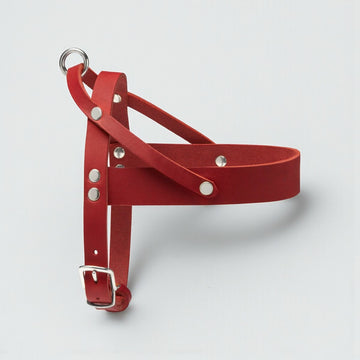 Butter Red // Klassisches Geschirr aus weichem Leder (rot)