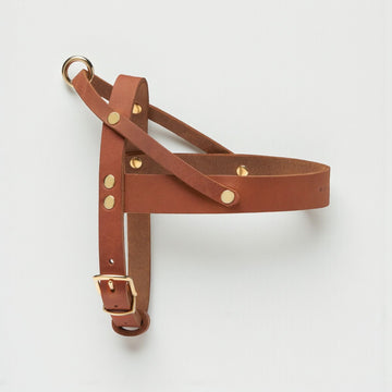 Butter Sahara // Klassisches Geschirr aus weichem Leder (Cognac)