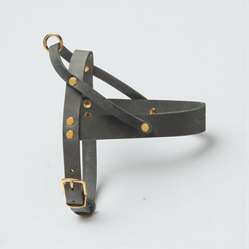 Butter Timeless // Klassisches Geschirr aus weichem Leder (grau)